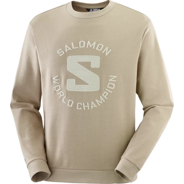 Moletom Salomon Outlife Logo Summer Masculino Bege | PT M82139